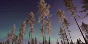Finland